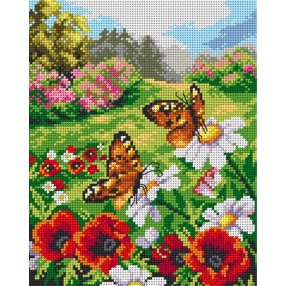 2628H Pillangók a mezőn 24x30cm