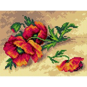 2634F Pipacsok 18x24cm