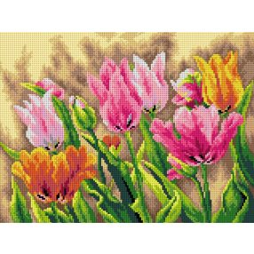 2660J Tulipánok 30x40 cm