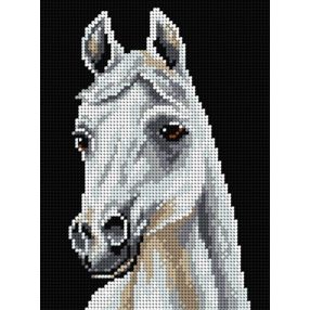 2696F Fehér ló 18x24cm