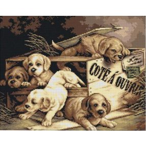 2708M Federico Olarig-Egyenesen a ládából 40x50cm