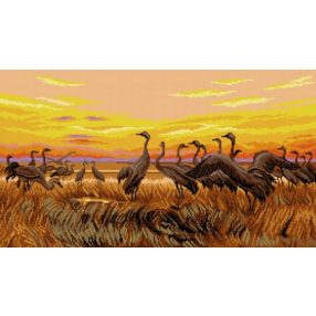 2935R Jozef Chelmonski - A nap üdvözlete 40x70cm