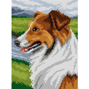 2936F Wilhem Schwar - Collie 18x24cm