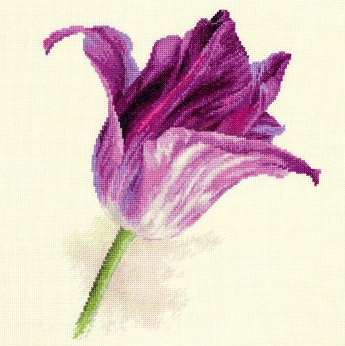 2-44 Lila bársony tulipán 22x26 cm