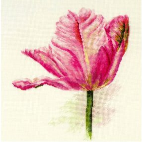 2-42 Tulips Light Pink 22x26 cm