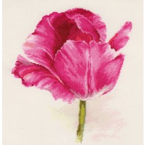 2-43 Tulips Crimson Glow 22x26 cm