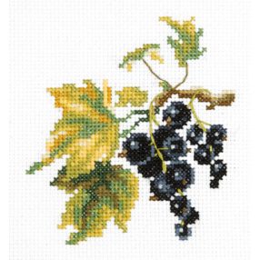 ci-031-003 Black currant 10x11 cm