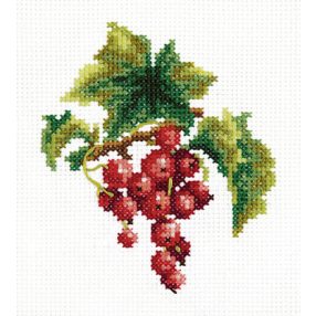 ci-031-004 Red currant  9x11 cm