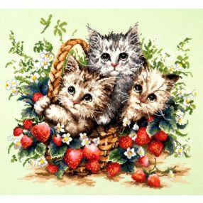ci-058-012 Lovely kittens 35x31 cm