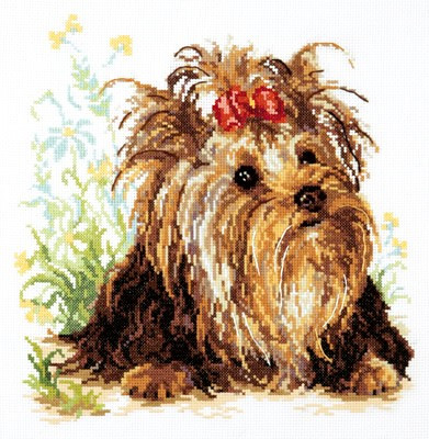 ci-059-013 Yorkshire Terrier 26x26 cm