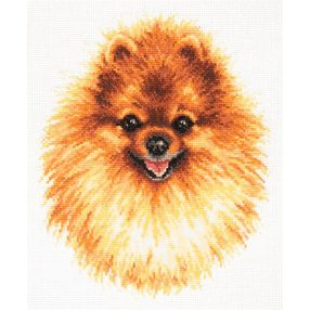 ci-059-022 Pomeranian 22x25 cm