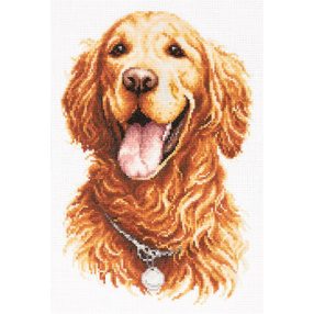 ci-059-024 Golden Retriever 20x28 cm