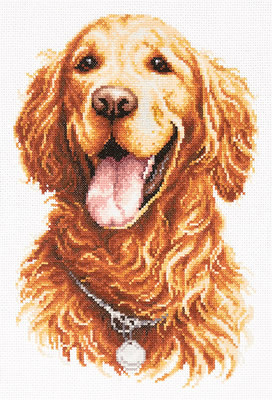 ci-059-024 Golden Retriever 20x28 cm