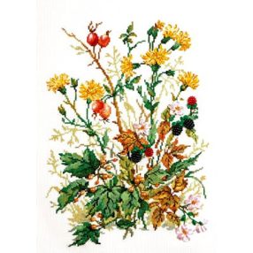 ci-081-004  In my garden 24x34 cm