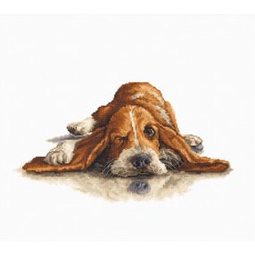 B2341 Basset 28,5x18,5 cm