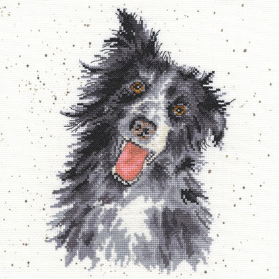 XHD10 Collie 26x26 cm