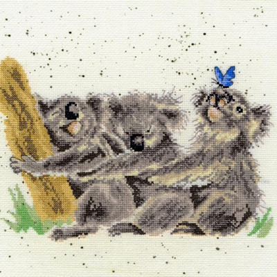 XHD20 Három koala 26x26 cm