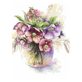 Z8793 Purple hellebores 30x40 cm