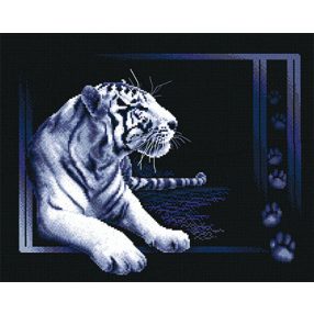 pan-0277 White Tiger 40x32 cm