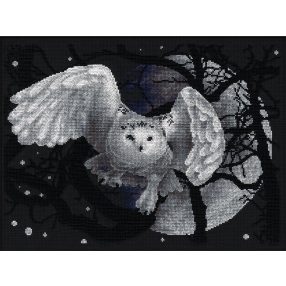pan-0359 White Owl 36x27 cm