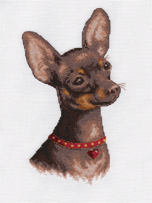 pan-1485 Toy Terrier 14,5x23 cm