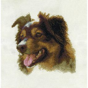 pan-1474 English Shepherd 17,5x23,5 cm