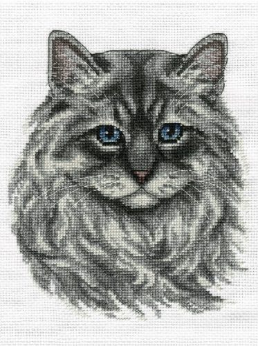 pan-1816 Maine Coon 27x20 cm