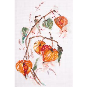 pan-1837 Physalis 21x30 cm