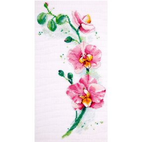 pan-1887 Orchid 19x30 cm