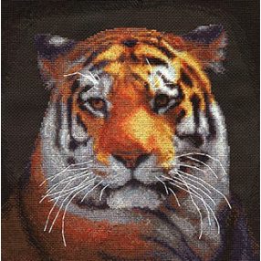 pan-0962 Ruler of the Taiga 29x29 cm