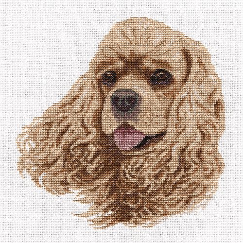 pan-1785 Cocker Spaniel 22x23 cm