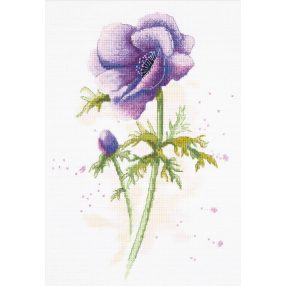 pan-1966 Anemone 20x29 cm