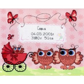 SRK317 Birth Sampler Owlets 22x25 cm