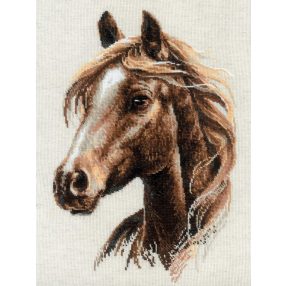 2293 Proud Spirit 30x40 cm