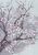 2298 Szilvafa virágzás 21x30 cm