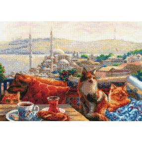 2342 Isztambul macskái 40x30 cm