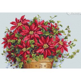 SK132 Poinsettia 35x24 cm