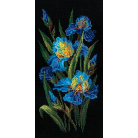 2346 Csodás íriszek 25x50 cm