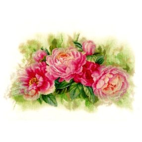 PN-0170933 Roses 41x26 cm
