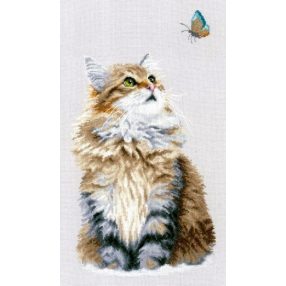 PN-0171041 Forest Cat 25x42 cm
