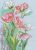 2354 Kecses tulipánok 21x30 cm