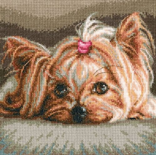 M709 Yorkie 18x18 cm