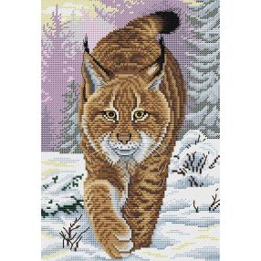 SM063 Predator 26x18 cm