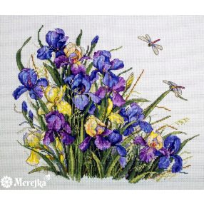 SK122B Irises 32x27 cm