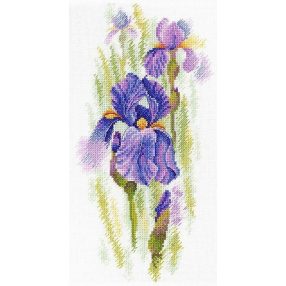 SA020 Ethereal Iris 31x16 cm