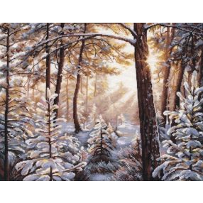 S1166 Fagy és napfény 30x38 cm