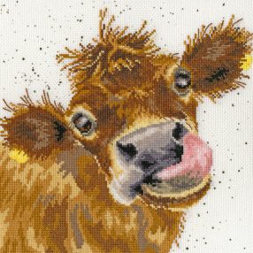 XHD48 Moo 26x26 cm