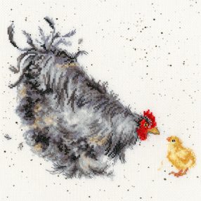 XHD50 Mother Hen 26x26 cm