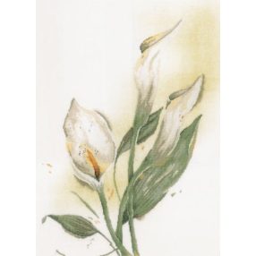PN-0008015 Calla 50x60 cm