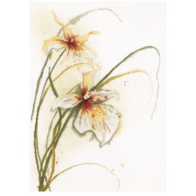 PN-0008014 Orchidee 50x60 cm